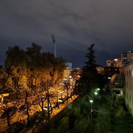 Ex-Block District Charming Studio Apartment With Treeish Sorrounding View! Тирана Экстерьер фото