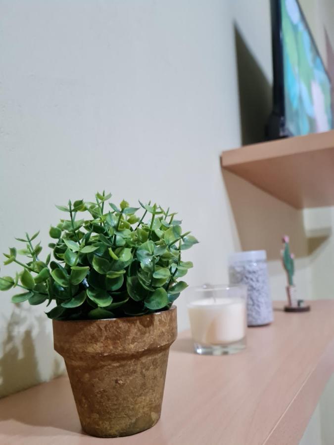 Ex-Block District Charming Studio Apartment With Treeish Sorrounding View! Тирана Экстерьер фото