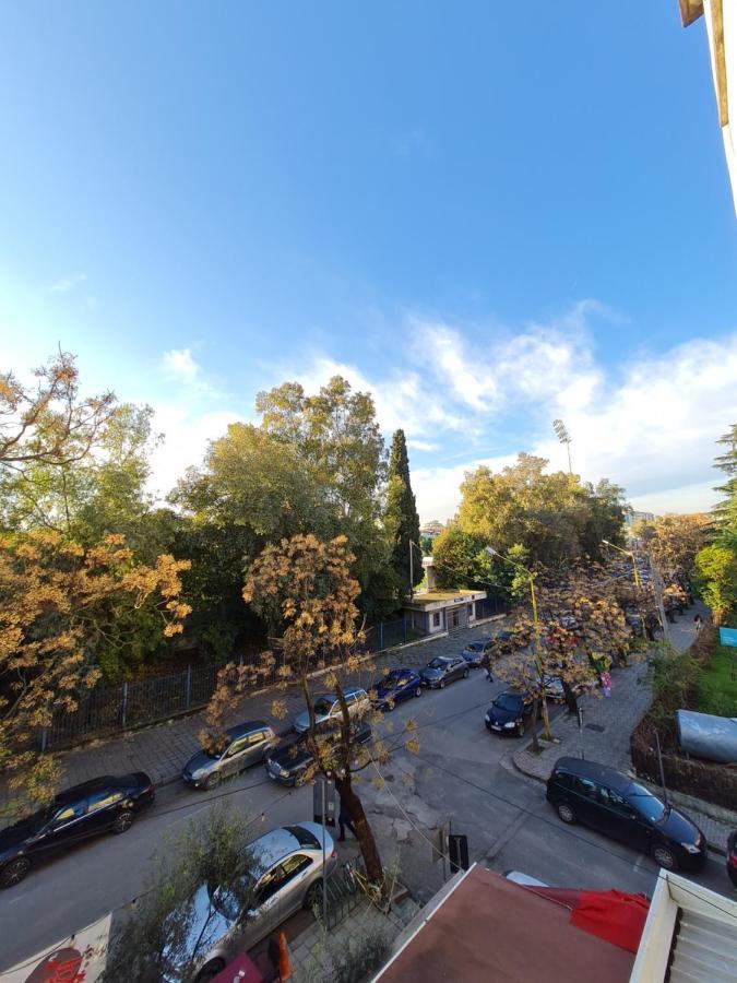 Ex-Block District Charming Studio Apartment With Treeish Sorrounding View! Тирана Экстерьер фото