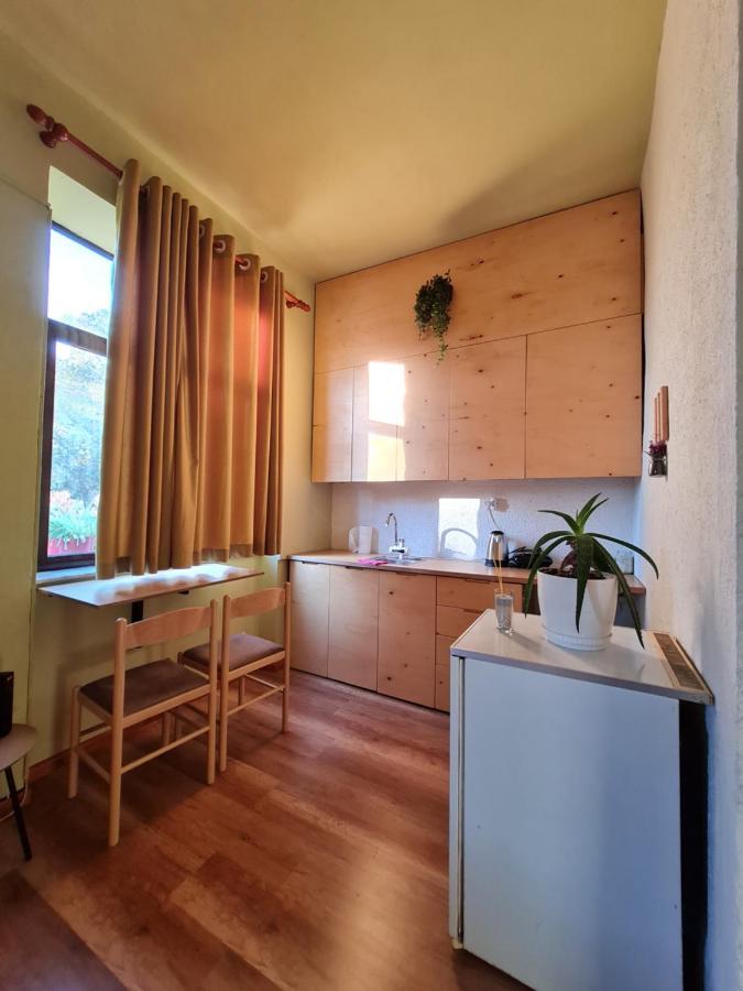 Ex-Block District Charming Studio Apartment With Treeish Sorrounding View! Тирана Экстерьер фото
