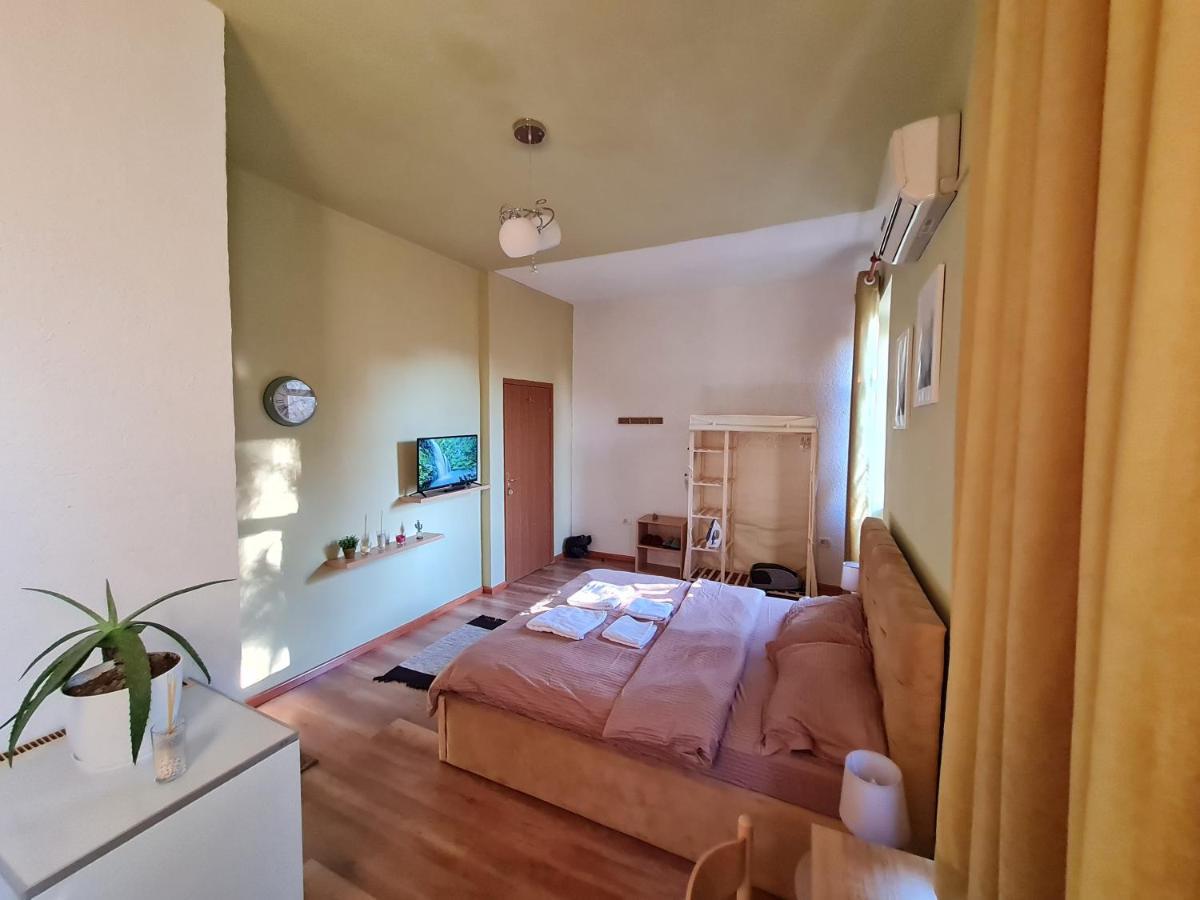Ex-Block District Charming Studio Apartment With Treeish Sorrounding View! Тирана Экстерьер фото